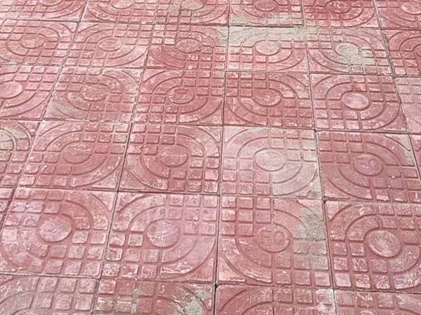 �����������ש