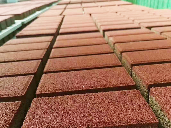 �����������ש