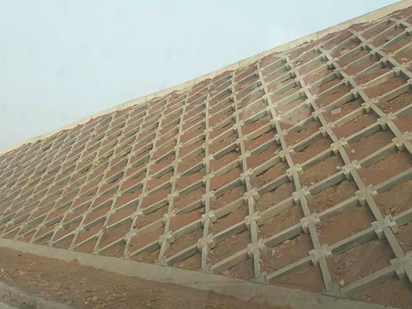 ��������ש