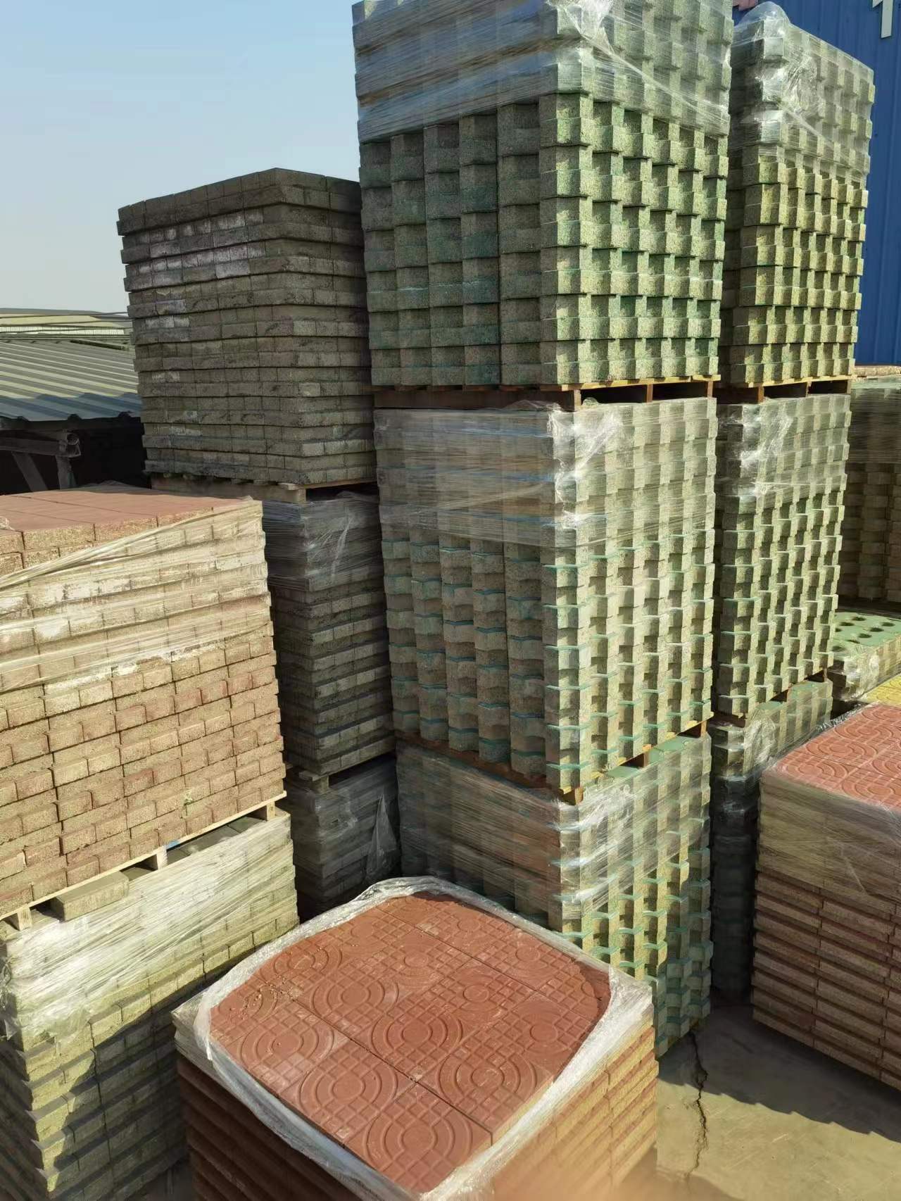 �������ש